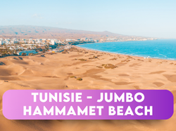 HAMMAMET 2027
